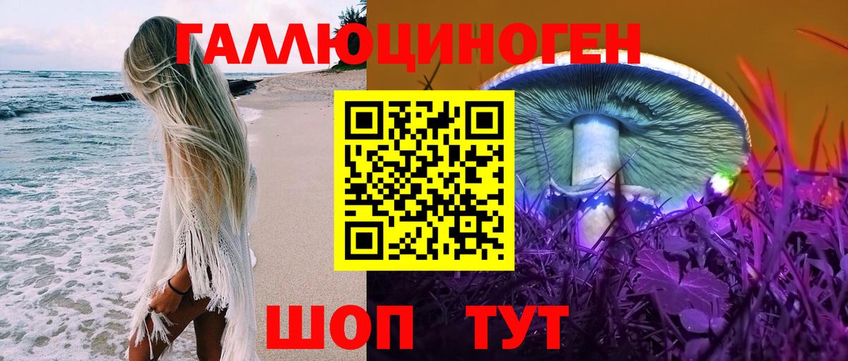 Галлюциногенные грибы Cubensis Йошкар-Ола