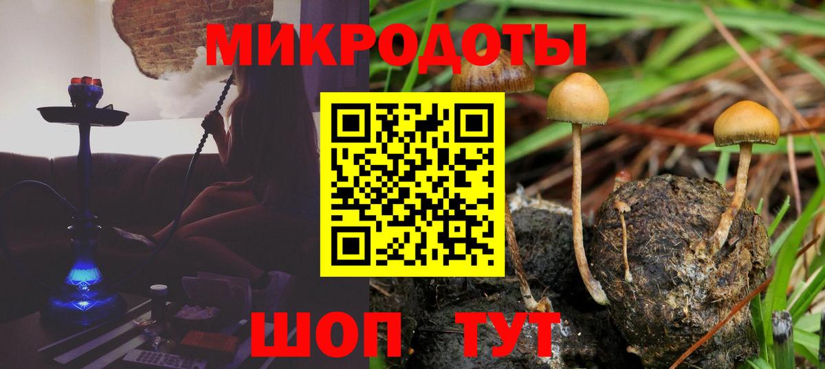 Галлюциногенные грибы MAGIC MUSHROOMS  Вход с VPN  Йошкар-Ола 